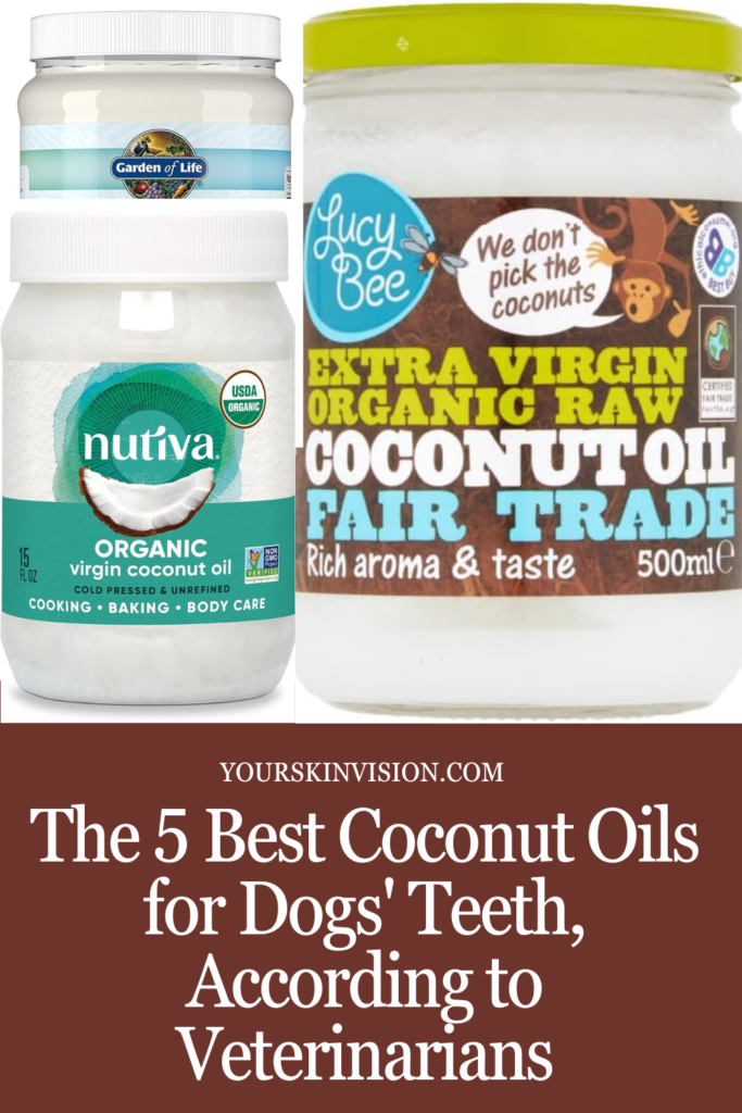 The 5 Best Coconut Oil for Dogs Teeth, According to Veterinarians