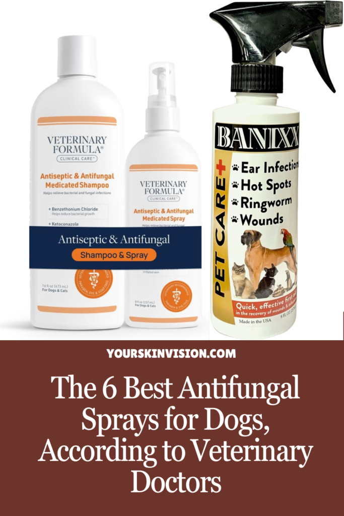 The 6 Best Antifungal Sprays for Dogs, According to Veterinary Doctors