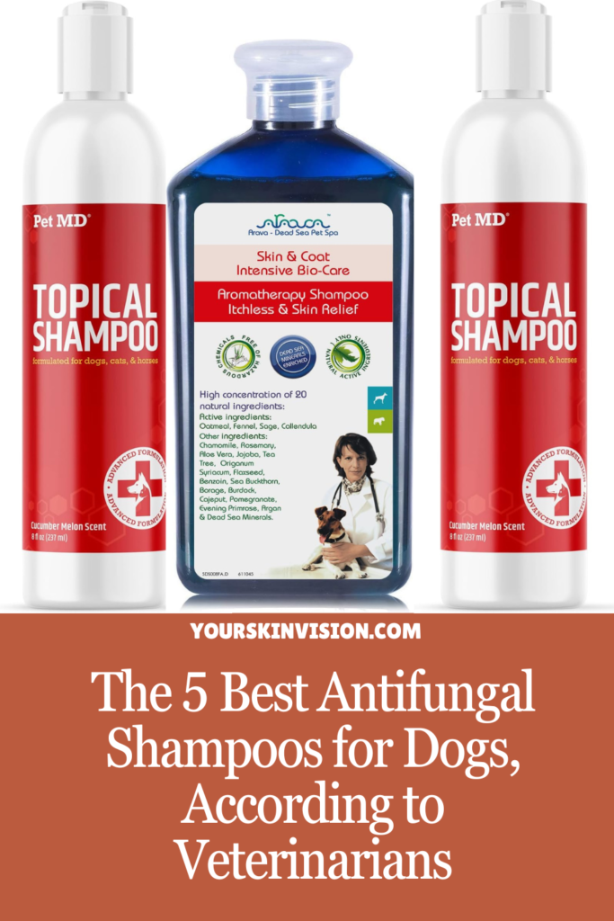 The 5 Best Antifungal Shampoo for Dogs, According to Veterinarians