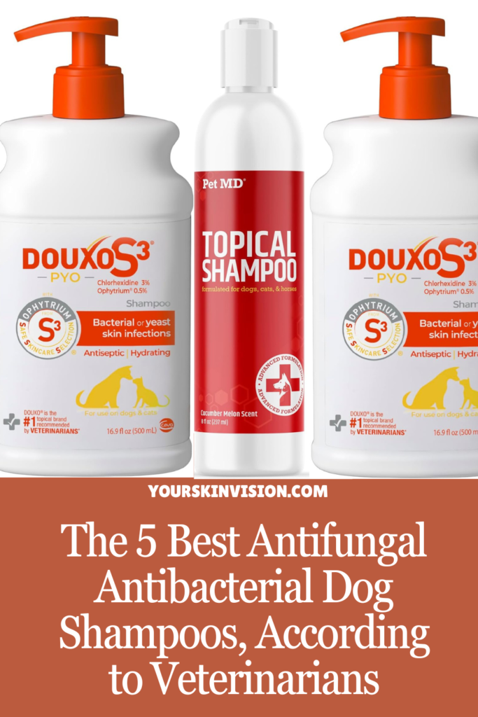 The 5 Best Antifungal Antibacterial Dog Shampoos, According to Veterinarians
