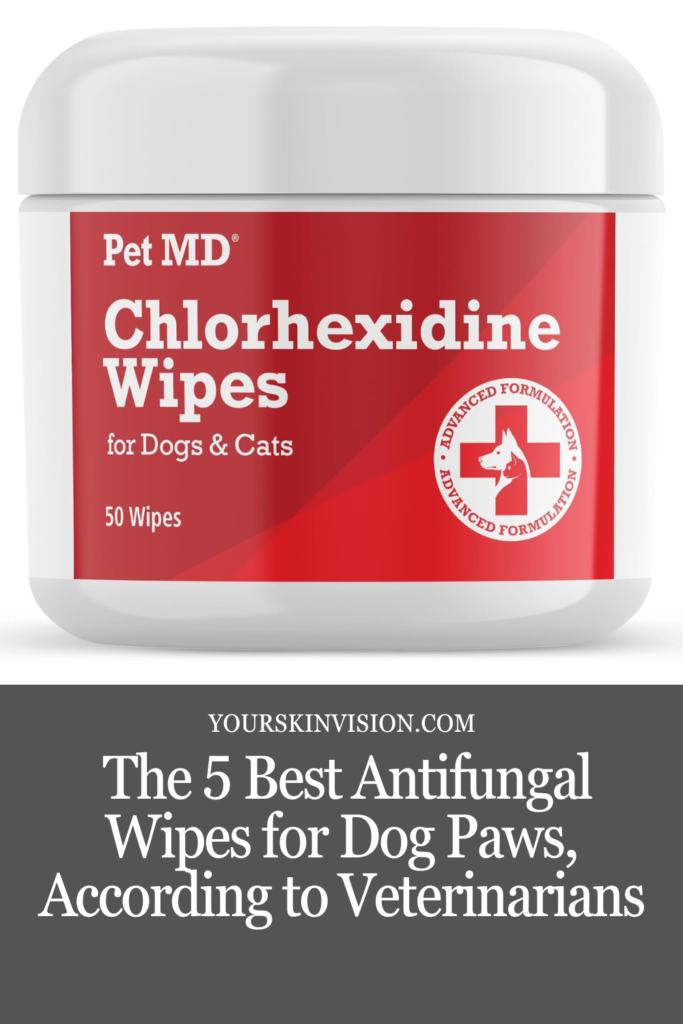 The 5 Best Antifungal Wipes for Dog Paws, According to Veterinarians