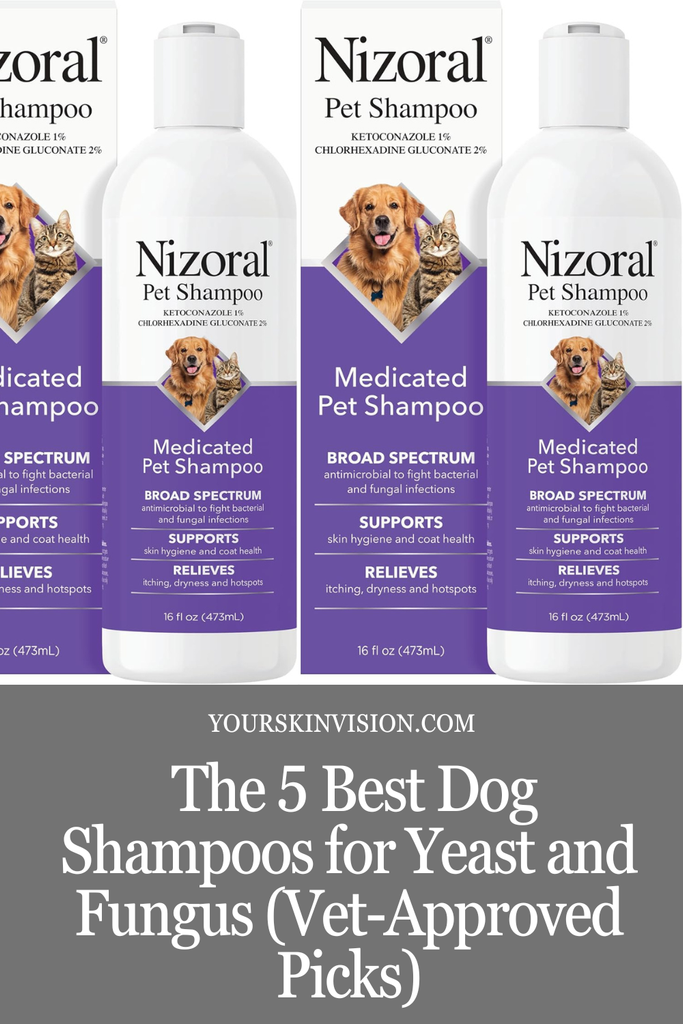 The 5 Best Dog Shampoos for Yeast and Fungus (Vet-Approved Picks)