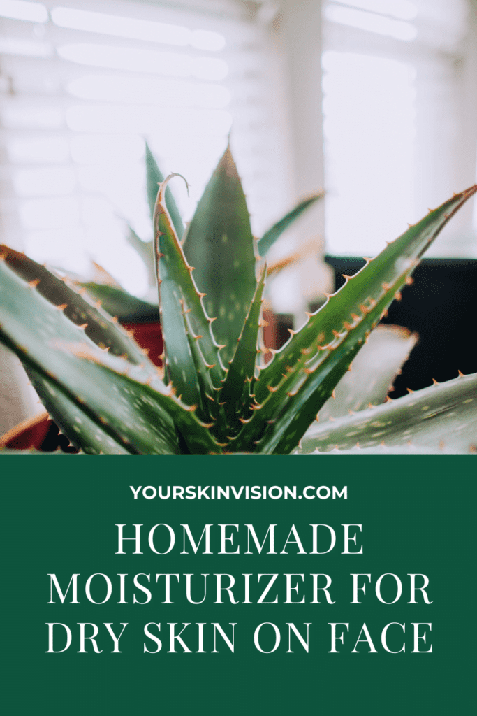 homemade moisturizer for dry skin on face